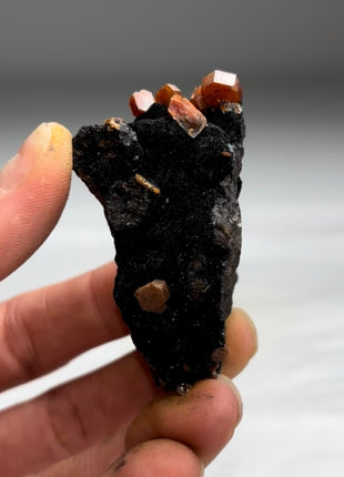 New Arrival ! Black Goethite with Red Vanadinite