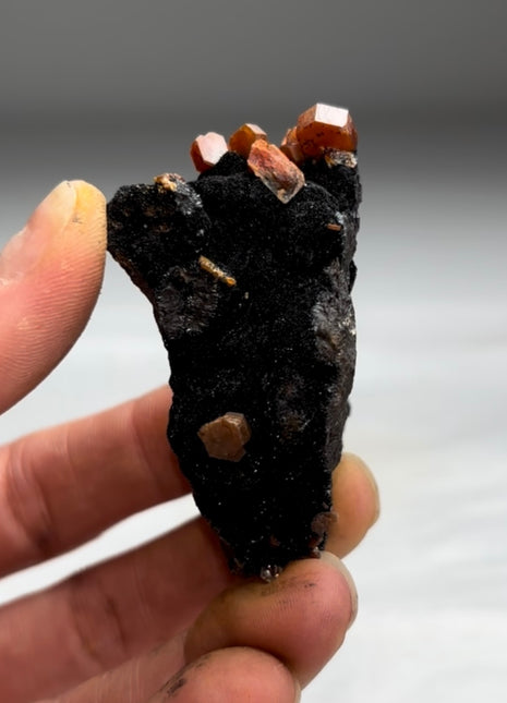 New Arrival ! Black Goethite with Red Vanadinite