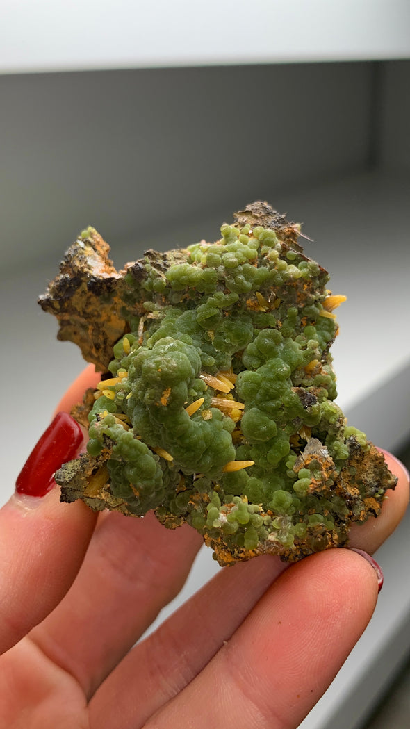 Orange Wulfenite with Rich Green Mimetite from Ojuela mine - 6 Piece Lot !