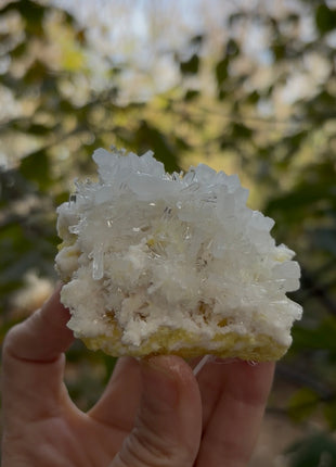 Celestine with Sulphur Collection # 682