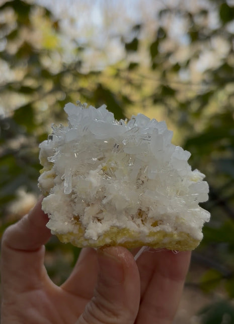 Celestine with Sulphur Collection # 682