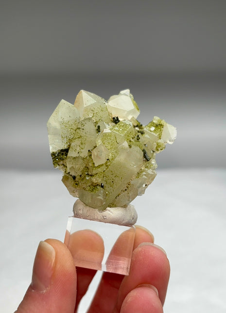 New ! Druzy Green Epidote with Quartz