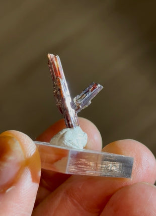 Red Rutile from Diamantina mine, 1990s find