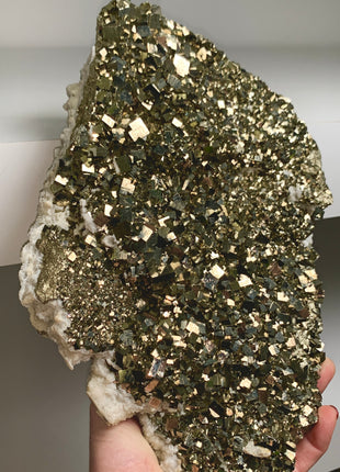 Incredible Pyrite from Niccioletta mine, Italy - Collection # 143
