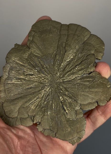 Pyrite Sun - From Sparta, Illinois