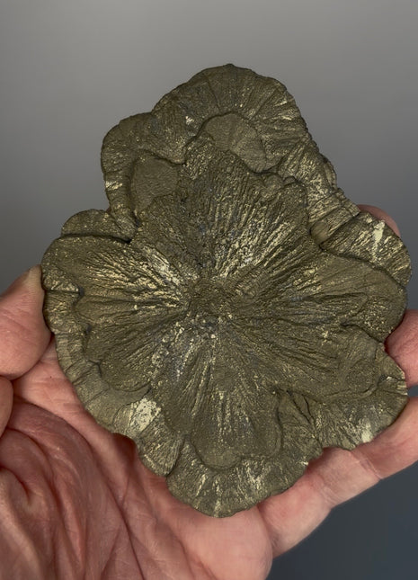 Pyrite Sun - From Sparta, Illinois