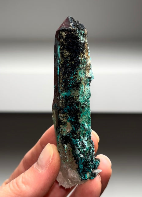 Blue Chrysocolla with Quartz