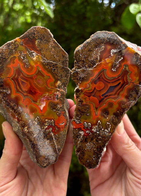 Very High Grade Black Sea Agate Pair