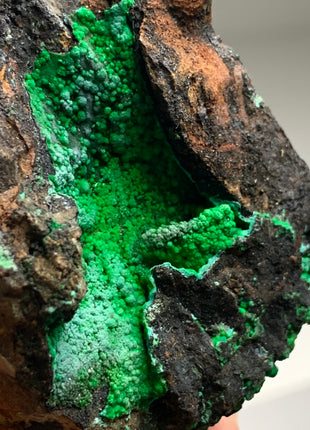 Vibrant Green Conichalcite ! From Spain