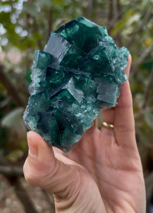 Blue Green Color Change Fluorite Collection # 629