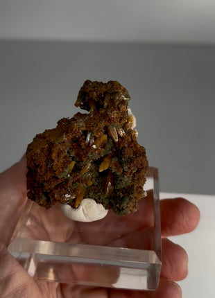 Wulfenite with Mimetite Specimen