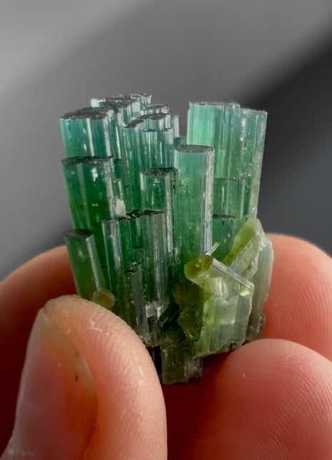 Blue Green Tourmaline Bunch PM1340