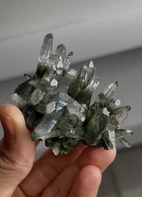 Quartz with Chlorite from Ganesh Himal PM0932