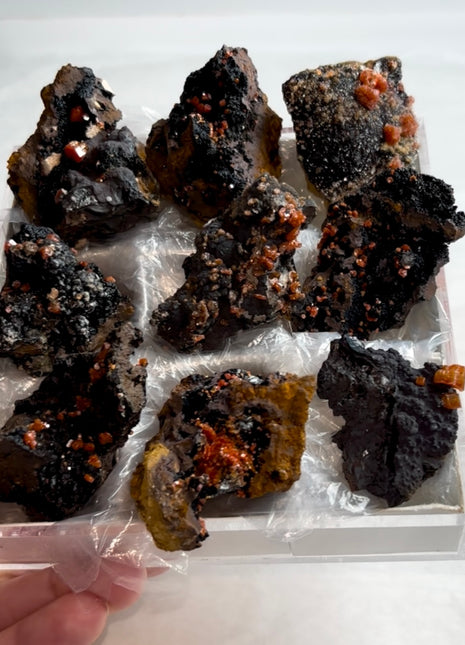 9 Piece Lot ! Black Goethite with Red Vanadinite