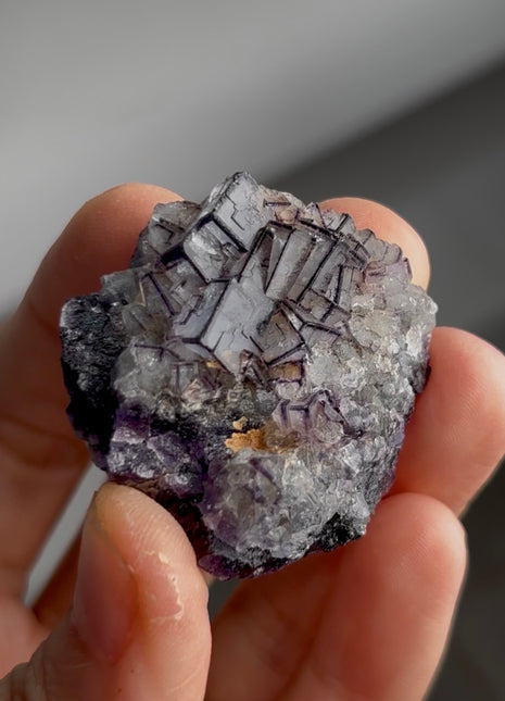 “Picture Frame” Fluorite PM0352