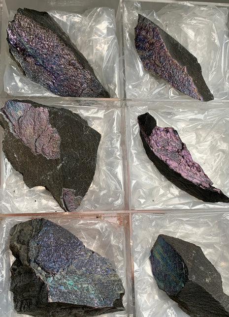 Rare ! Bornite Specimens Lot 🌈 - 6 Pieces