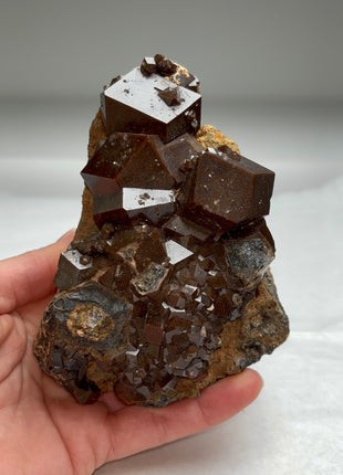 Chocolate Andradite Garnet from Mali