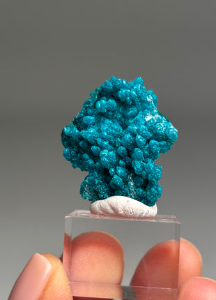 Intense Blue Flowery Chrysocolla - From Peru