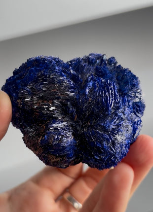 Electric Blue Azurite Rosette Collection # 846