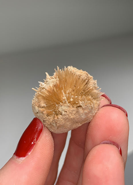 New Arrival ! Bursting Sun Aragonite Ball - From Pantoja, Spain