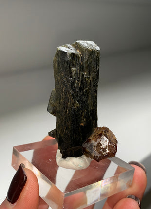 New Arrival ! Red Garnet var. Andradite with Glossy Epidote - From Mali