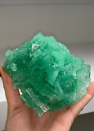 Gemmy Green Halite with Big Cubes