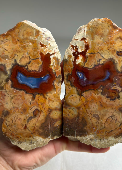 Rare ! Black Sea Agate Pair