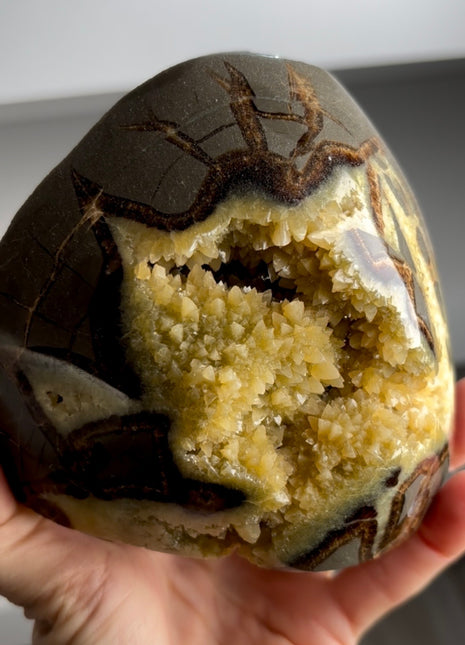 Septarian Geode from Utah