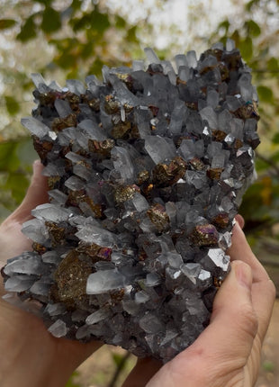 Our Finest ! Quartz with Chalcopyrite and Galena Collection # 638