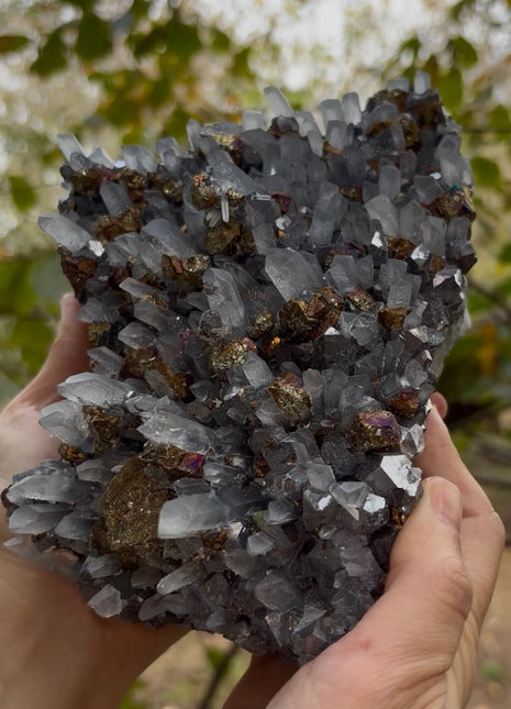 Our Finest ! Quartz with Chalcopyrite and Galena Collection # 638