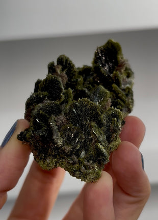New ! Epidote Flowers with Axinite PM1565
