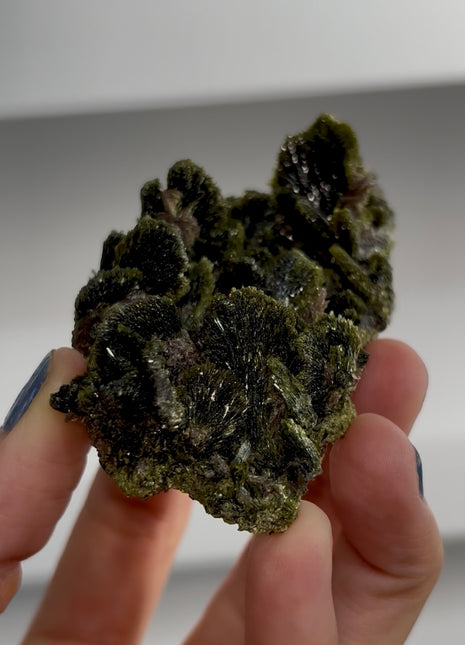 New ! Epidote Flowers with Axinite PM1565