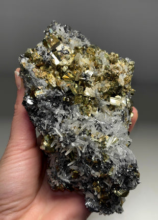 High Grade Pyrite with Quartz