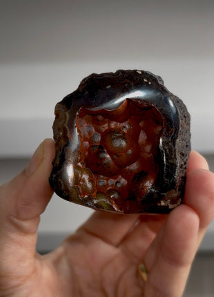 Both-sided ! Red Fox Agate Geode from Argentina