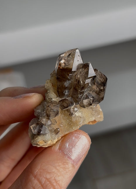 Smoky Quartz from Australia