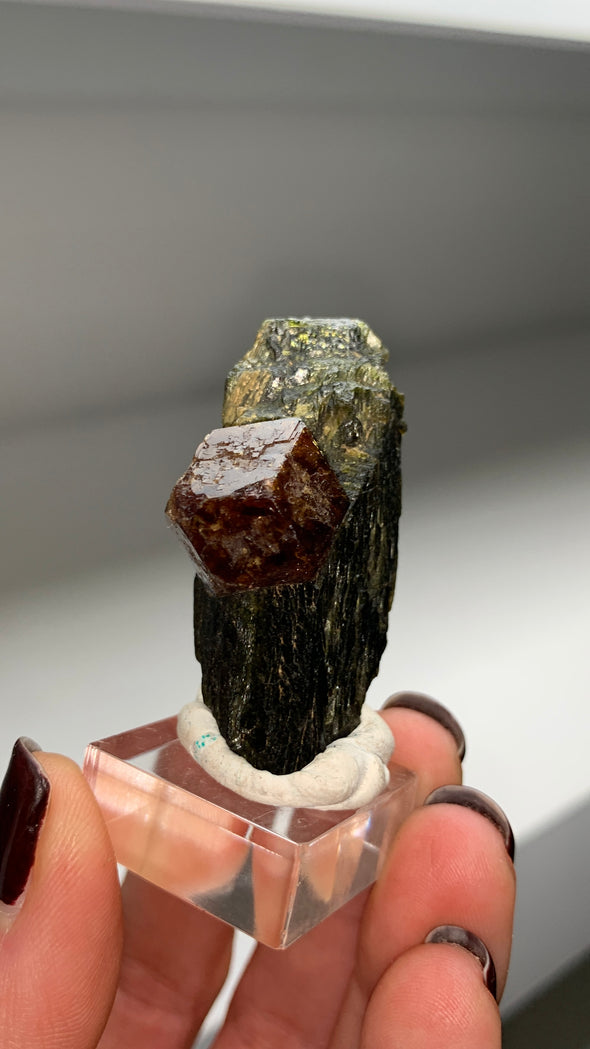 New Arrival ! Perfect Garnet var. Andradite with Glossy Epidote - From Mali