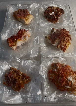 6 Piece Lot ! Red Vanadinite with Barite Flowers