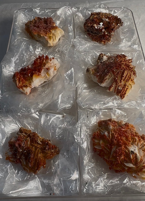 6 Piece Lot ! Red Vanadinite with Barite Flowers