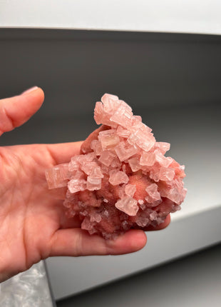 9 Piece Lot ! High Grade Pink Halite from Searles Lake, California