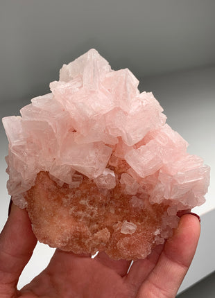 Pink Halite with Great Crystallization - from Searles Lake, California