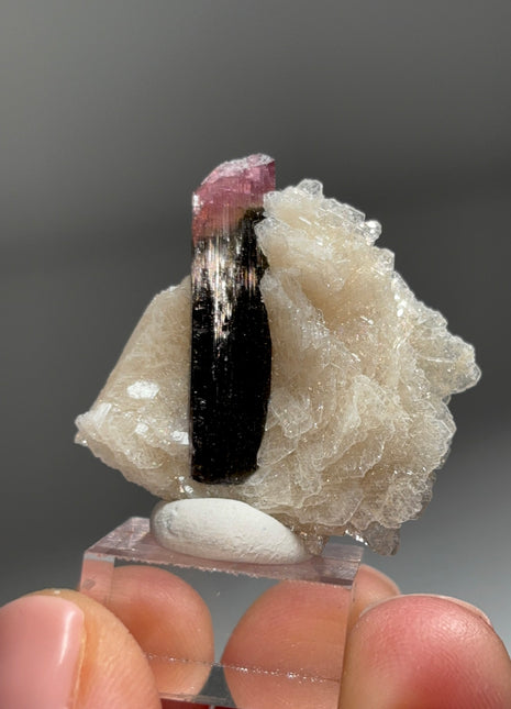 Pink Cap Tourmaline with Cleavelandite Flower