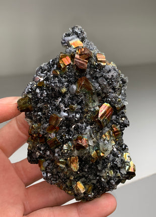 Iridescent Rainbow Pyrite with Sphalerite - Borieva mine, Rhodope Mtns