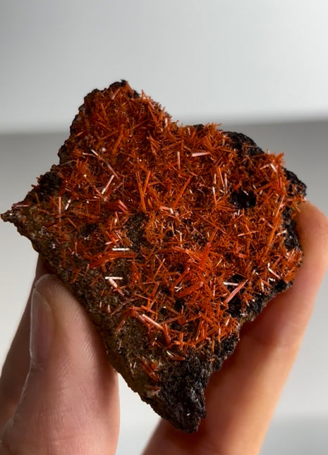 Red Crocoite Specimen PM0459
