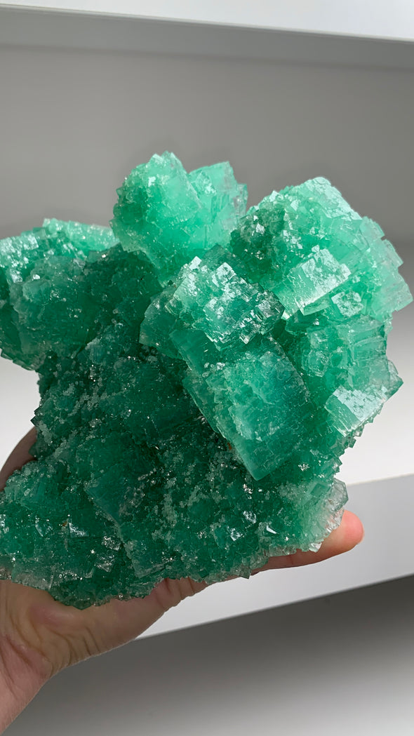 Our Finest ! Green Halite with Atacamite inclusion - From Lubin mine, Poland