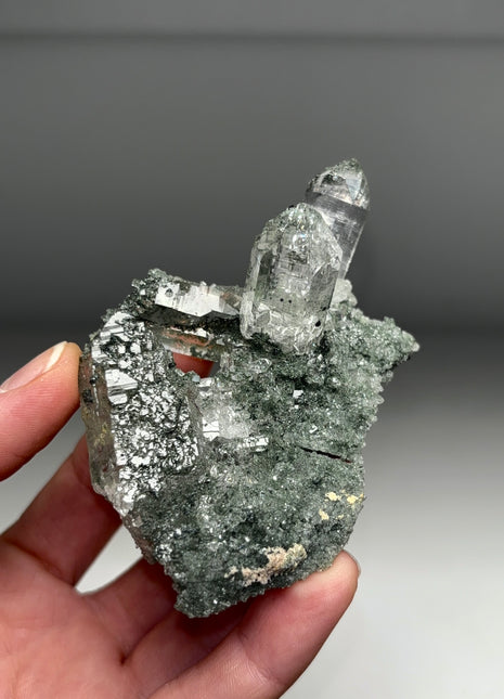 Stunning ! Quartz with Green Chlorite - Himachal Pradesh, Himalayas