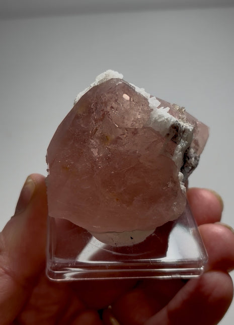 Perfection ! Pink Morganite Collection # 693