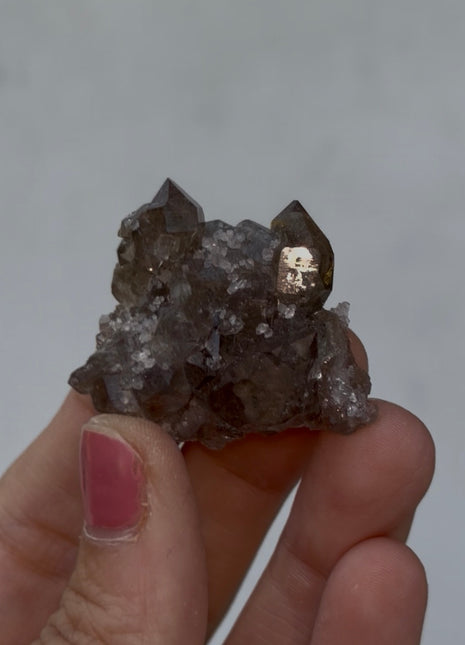 Smoky Quartz - From Chamonix, French Alps