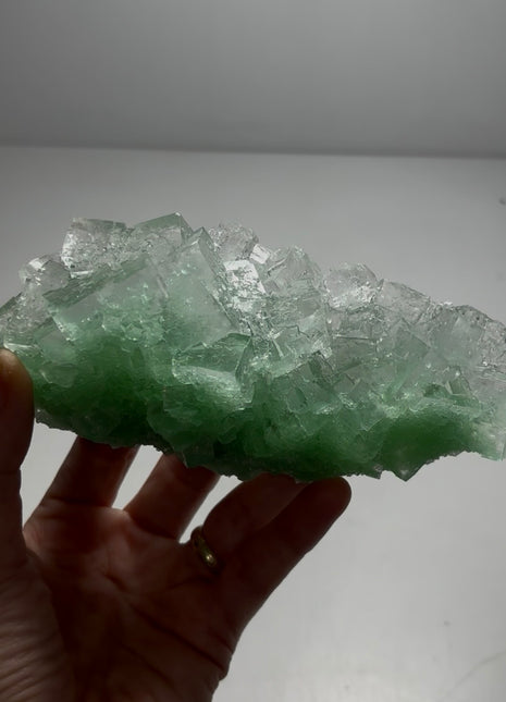 Green Halite Collection # 662