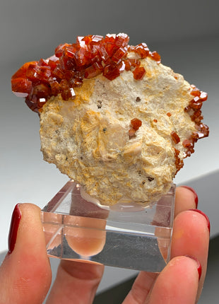 Red Vanadinite on Matrix - Collection # 020