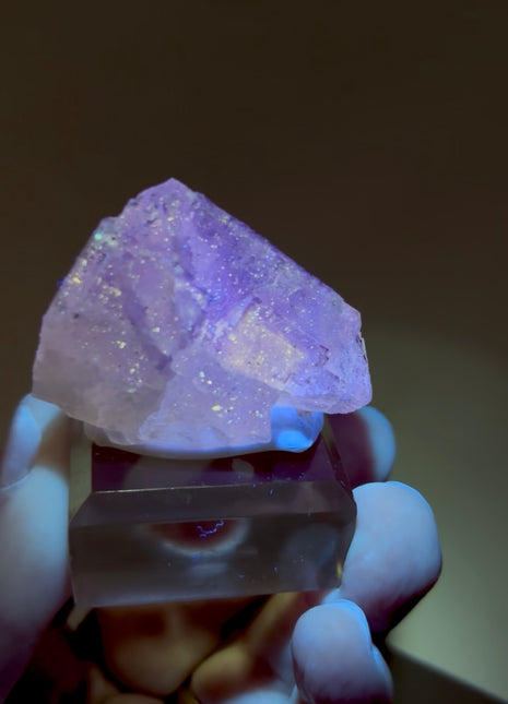 New Arrival ! Galaxy Fluorite